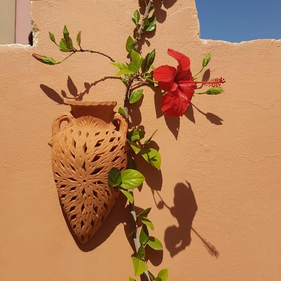Chambres D'Hotes Les Amis Taroudant Eksteriør billede